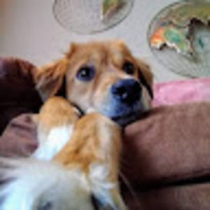 Meet your Posher, Katelyn